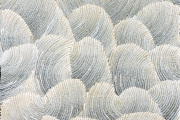 sand dune 